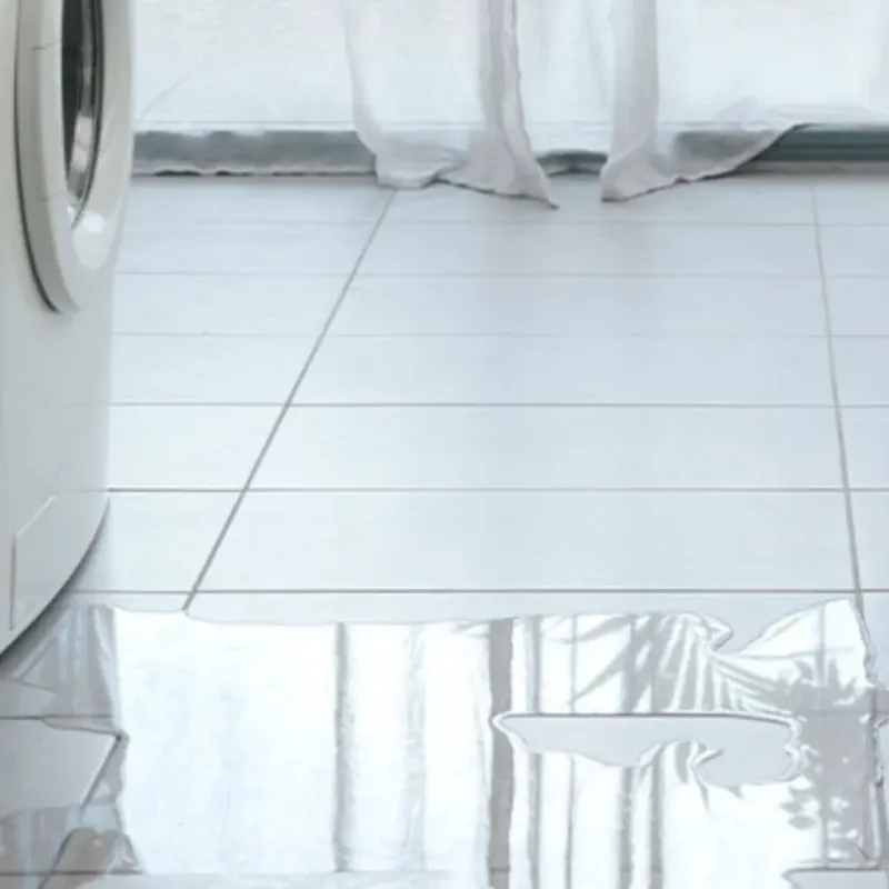 Appliance Leak Cleanup in Petoskey, MI