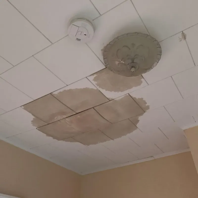 Ceiling Water Damage Repair in Petoskey, MI