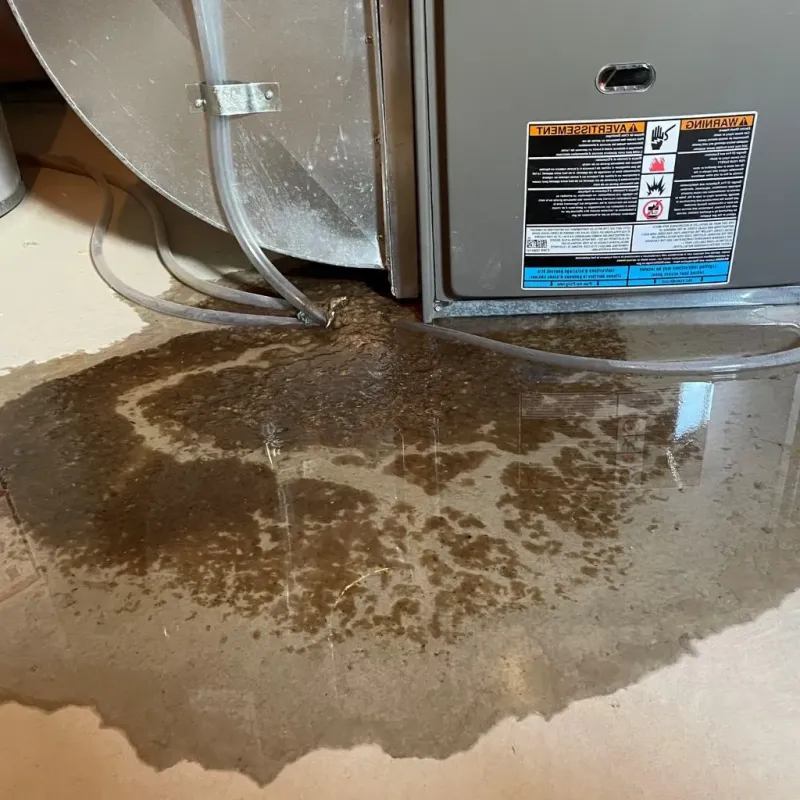 Pipe Burst and Leak Restoration in Petoskey, MI